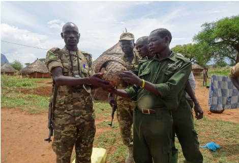 Picture 3 Pangolin