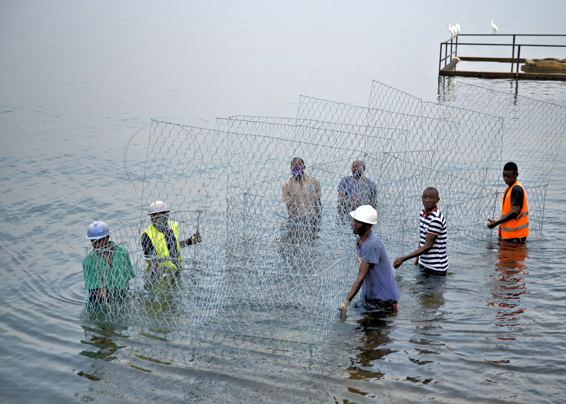 Ngamba workers and Children of Conservation board members work on construction of gabions in Lake Victoria to combat flooding.